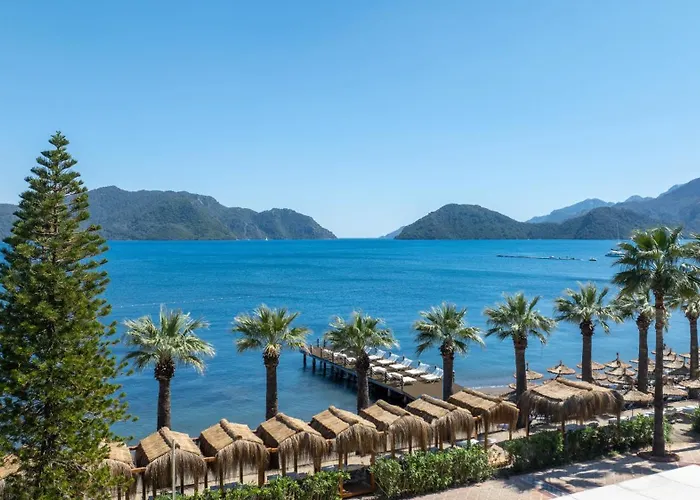 Prime 马尔马里斯